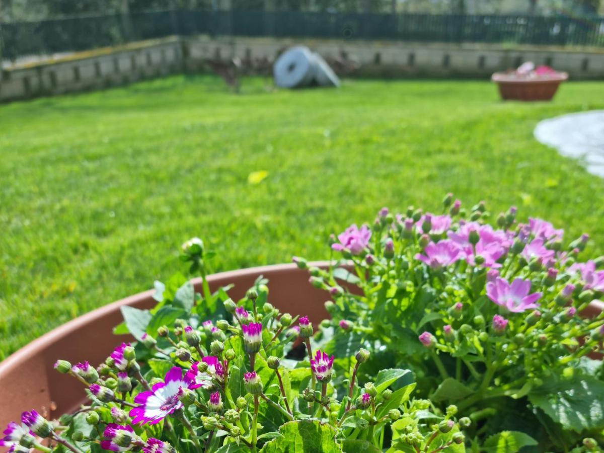Il Casale Nel Parco Guesthouse 罗马 外观 照片